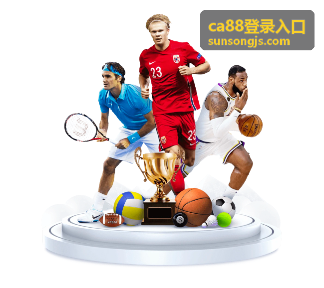 ca88登录入口安全策略
